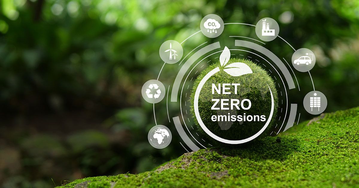 Zero-Emission Logistics: The Future of Sustainable Cold Transport